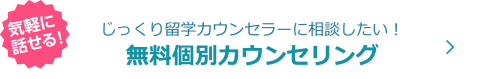 無料個別カウンセリング