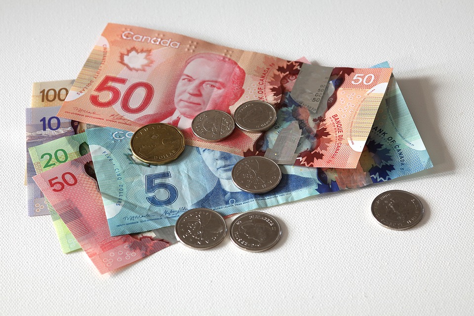 カナダのお金は紙幣と硬貨！お金の種類や見分け方について