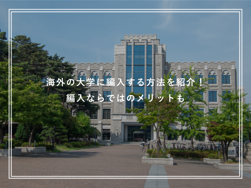 海外の大学に編入する方法を紹介！編入ならではのメリットも