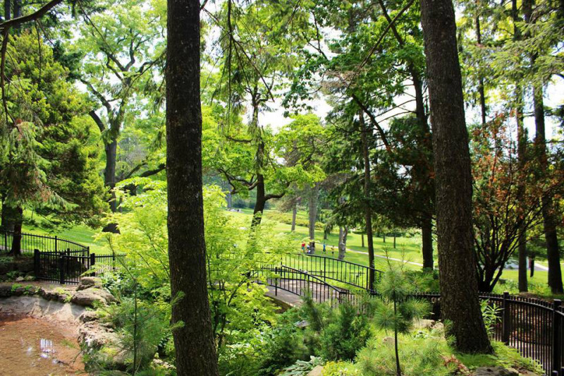 カナダトロント 観光名所 ハイ公園…　エミリーのEnglish留学日記