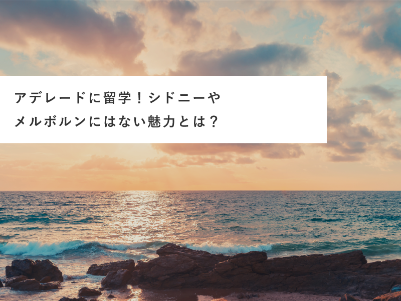 アデレードに留学！シドニーやメルボルンにはない魅力とは？