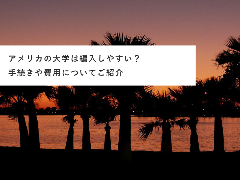 アメリカの大学は編入しやすい？手続きや費用についてご紹介
