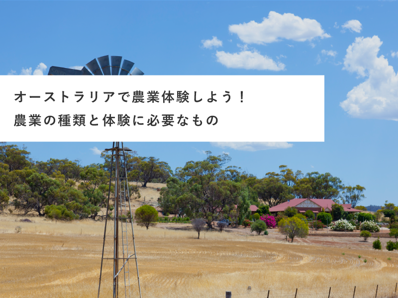 オーストラリアで農業体験しよう！農業の種類と体験に必要なもの