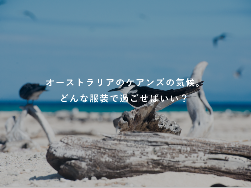 オーストラリアのケアンズの気候。どんな服装で過ごせばいい？