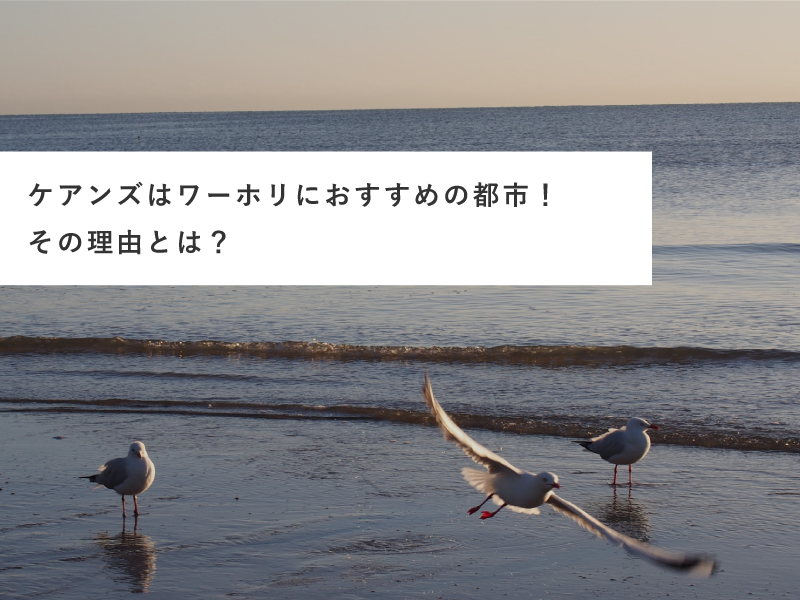 ケアンズはワーホリにおすすめの都市！その理由とは？