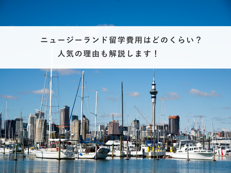 ニュージーランド留学費用はどのくらい？人気の理由も解説します！