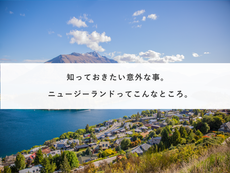知っておきたい意外な事。ニュージーランドってこんなところ。