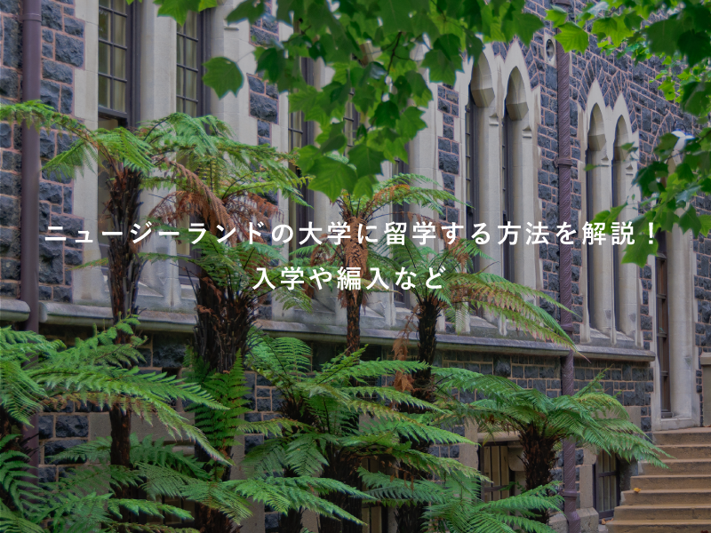 ニュージーランドの大学に留学する方法を解説！入学や編入など