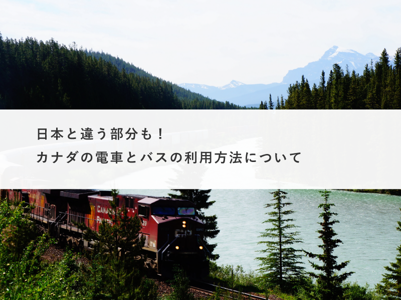 日本と違う部分も!カナダの電車とバスの利用方法について