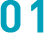 01